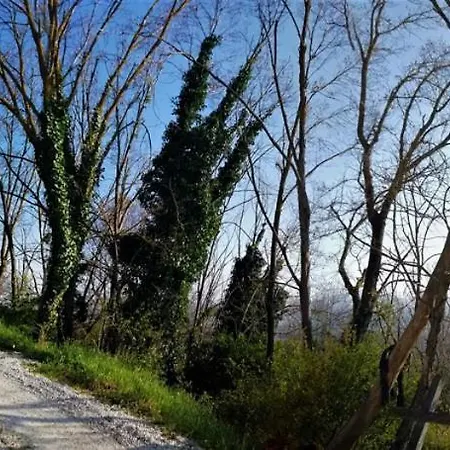 ベッド・アンド・ブレックファスト Casale La Pietra Gialla Lugnano in Teverina