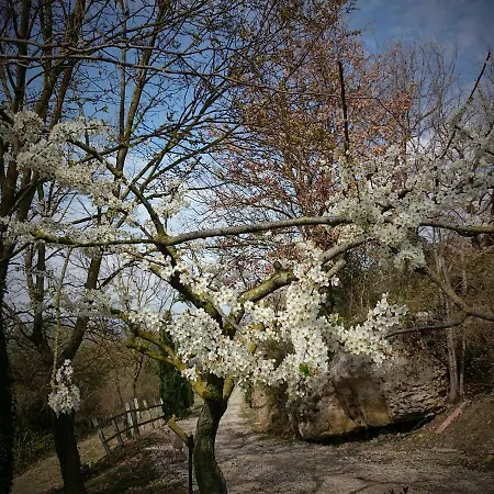 Casale La Pietra Gialla